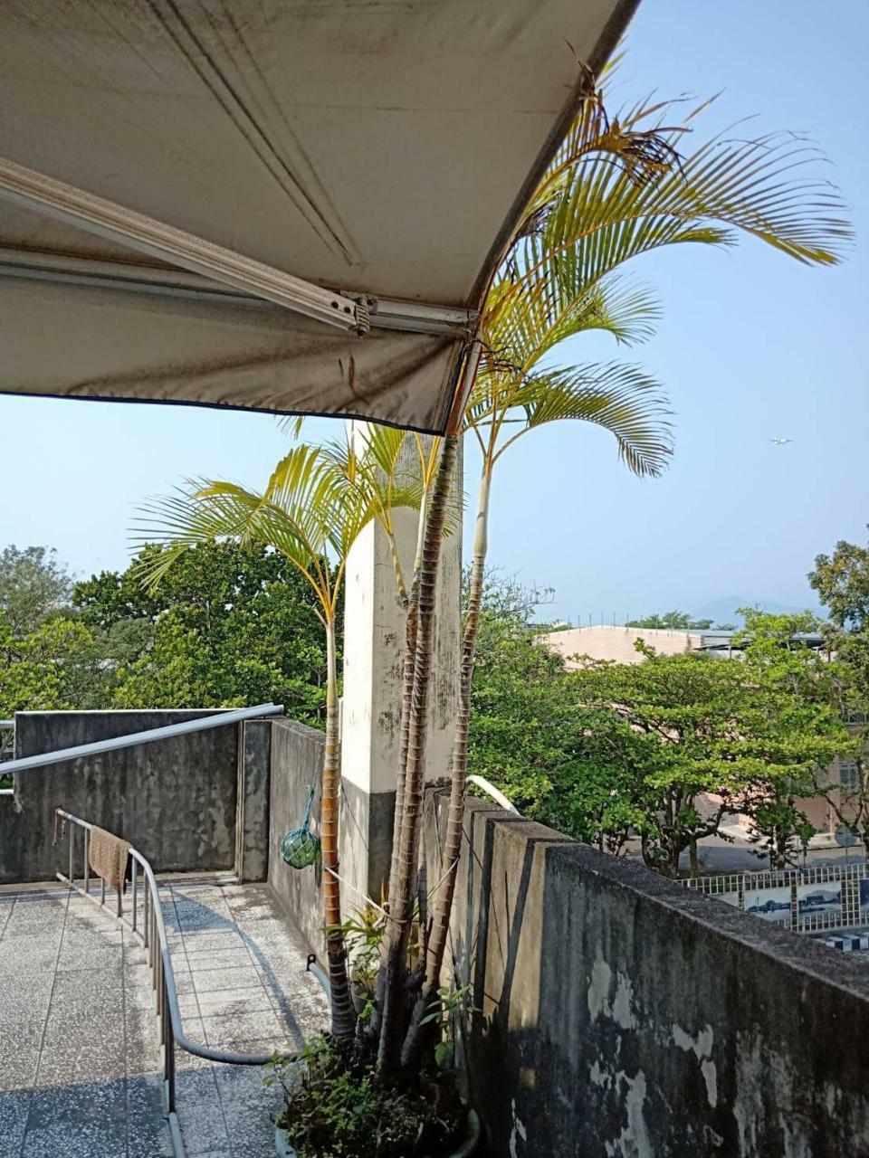 Formosa Backpackers Hostel & Apartment（青年民宿） Hualien City Exterior photo