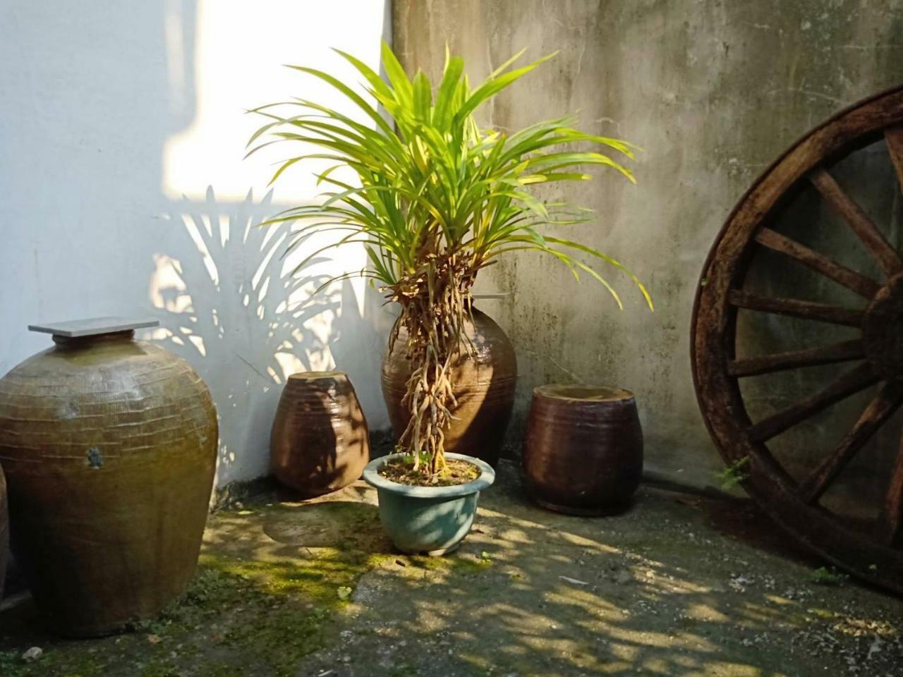 Formosa Backpackers Hostel & Apartment（青年民宿） Hualien City Exterior photo